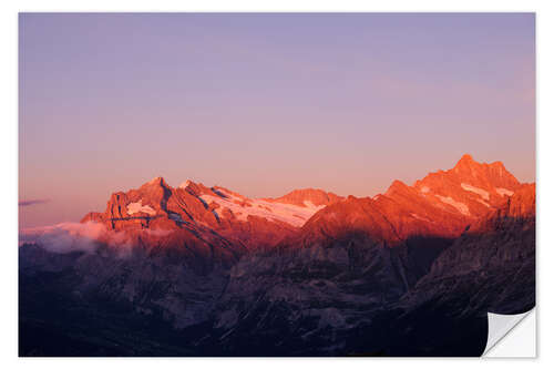 Selvklebende plakat Wetterhorn and Schreckhorn mountain peaks at sunset, Grindelwald, Switzerland