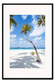 Gerahmter Kunstdruck Kokospalme am Strand auf den Malediven