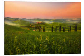 Cuadro de aluminio Beautiful Tuscan road leading home, Italy