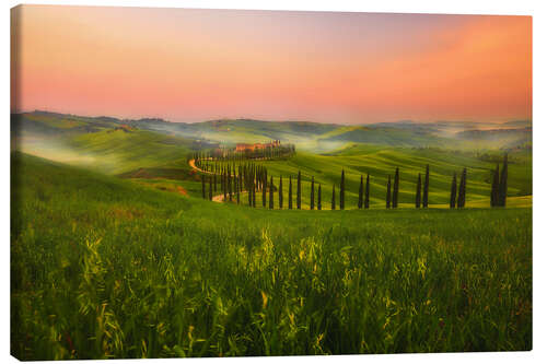 Canvas print Beautiful Tuscan road leading home, Italy