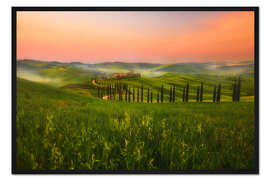 Gerahmter Kunstdruck Schöne toskanische Straße in Italien, die nach Hause führt