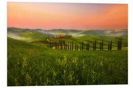 Foam board print Beautiful Tuscan road leading home, Italy