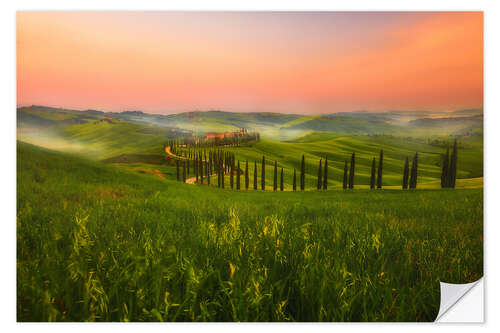 Sticker mural Beautiful Tuscan road leading home, Italy