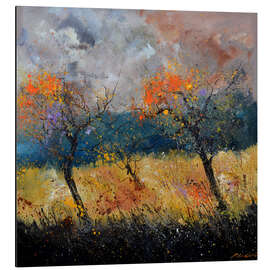 Aluminium print Orchard in Autumn