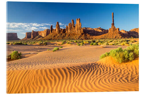 Acrylglas print Desert in Monument Valley, Arizona