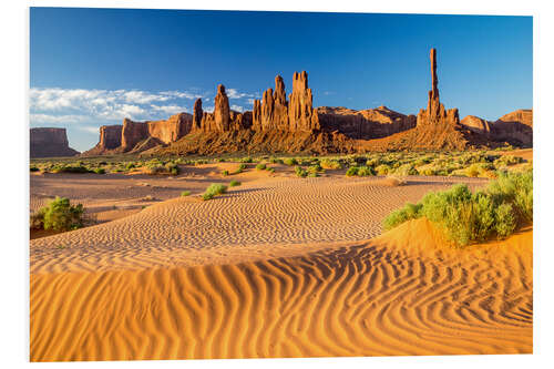 PVC print Desert in Monument Valley, Arizona