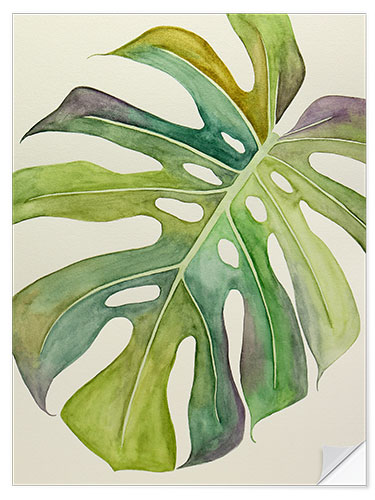 Naklejka na ścianę Monstera watercolor