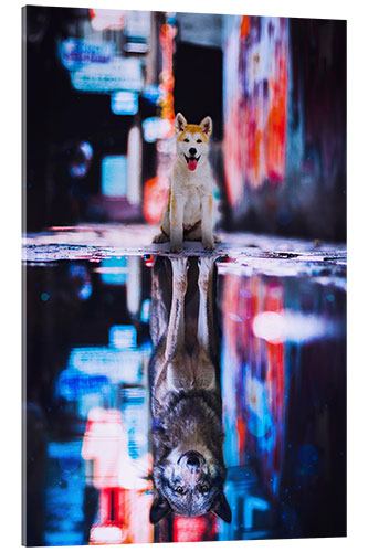 Acrylglas print Dream Big - Little Dog Becomes a Wolf