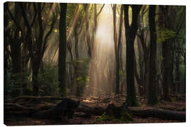 Canvas print Beautifully Dutch Forest