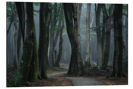 Cuadro de aluminio A Path Through the Forest