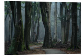 Foam board print A Path Through the Forest