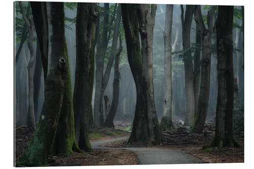 Galleritryk A Path Through the Forest