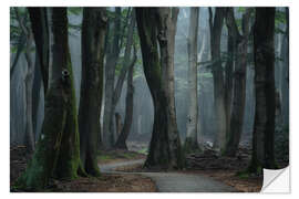 Sticker mural A Path Through the Forest