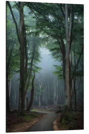 Magnettafel Morgenstimmung im Wald