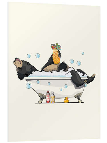 Foam board print Sloth Bear in the Bath