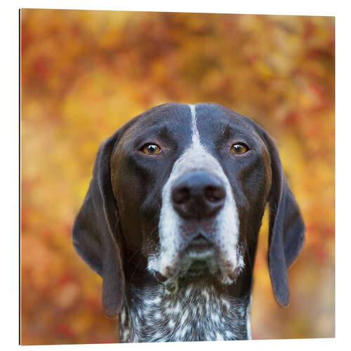 Gallery Print Herbstliches Hunde-Porträt