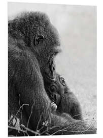 Tableau en PVC Mother love with baby gorilla