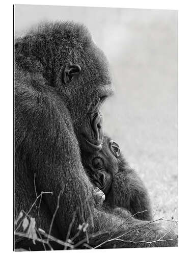 Galleriprint Mother love with baby gorilla