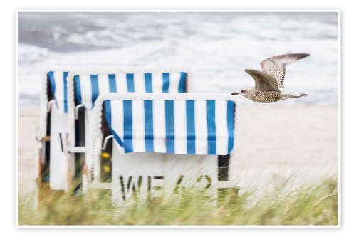 Poster Beach Chair With Seagull