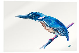 Akrylbillede Azure Kingfisher