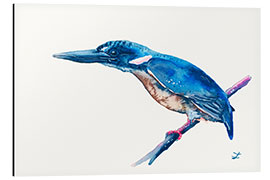 Obraz na aluminium Azure Kingfisher