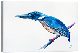 Canvas print Azure Kingfisher