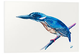 Foam board print Azure Kingfisher