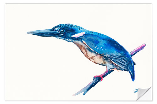 Naklejka na ścianę Azure Kingfisher