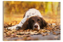 Wood print Munsterlander in autumn leaves