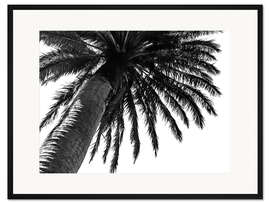 Gerahmter Kunstdruck Palme