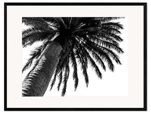 Impression artistique encadrée Palmier