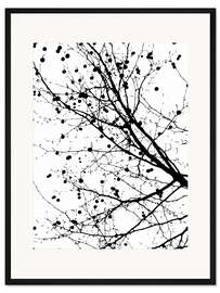 Gerahmter Kunstdruck Platane mit Früchten