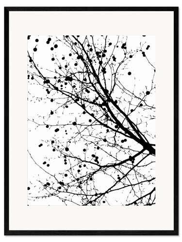 Ingelijste kunstdruk Plane Tree with Fruit