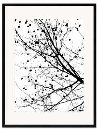 Framed art print Plane Tree with Fruit