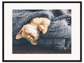 Gerahmter Kunstdruck Süße Babykatze