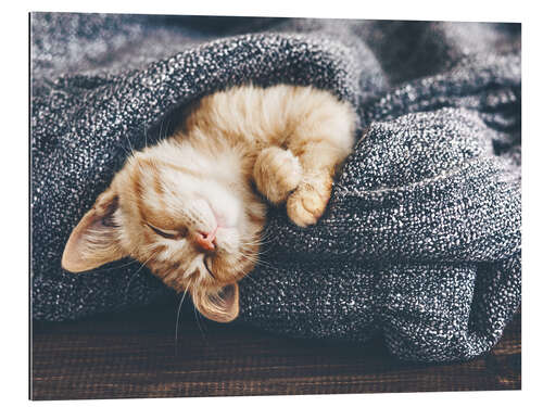 Gallery print Cute Baby Cat