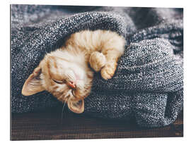 Gallery print Cute Baby Cat
