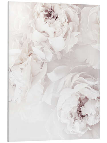 Alumiinitaulu Delicate Peonies