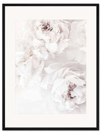 Gerahmter Kunstdruck Zarte Pfingstrosen