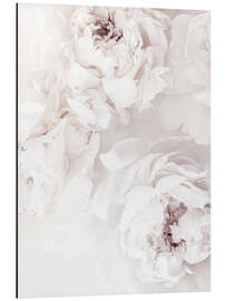 Magnettafel Zarte Pfingstrosen