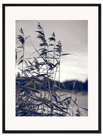 Gerahmter Kunstdruck Schilf im Wind