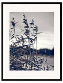 Plakat artystyczny premium w ramie Reed in the Wind