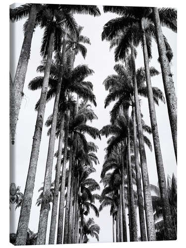 Lerretsbilde Palm Avenue