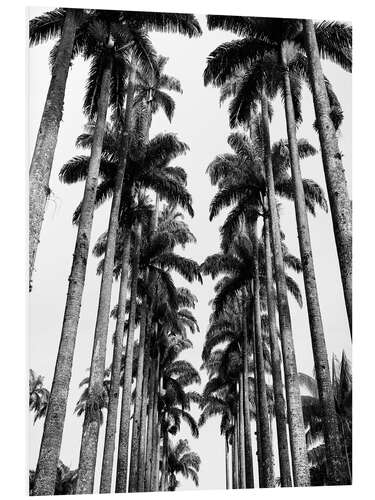 PVC print Palm Avenue