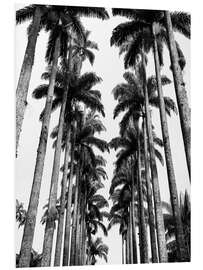 PVC print Palm Avenue