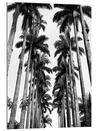 Galleriprint Palm Avenue