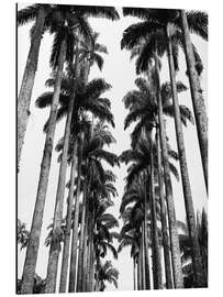 Magnettafel Palmenallee