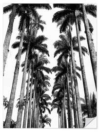 Wall sticker Palm Avenue