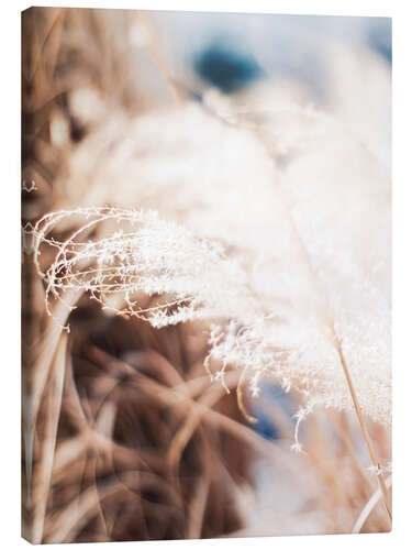 Canvas print Tender Grass