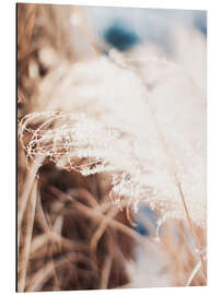 Magnettafel Zartes Gras